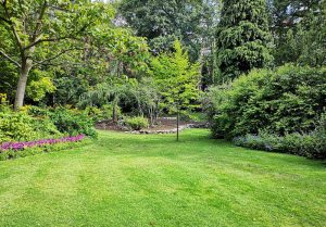 Optimiser l'expérience du jardin à Neuilly-sur-Seine